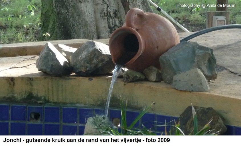 24. Jonchi kruik aan het vijvertje 2009